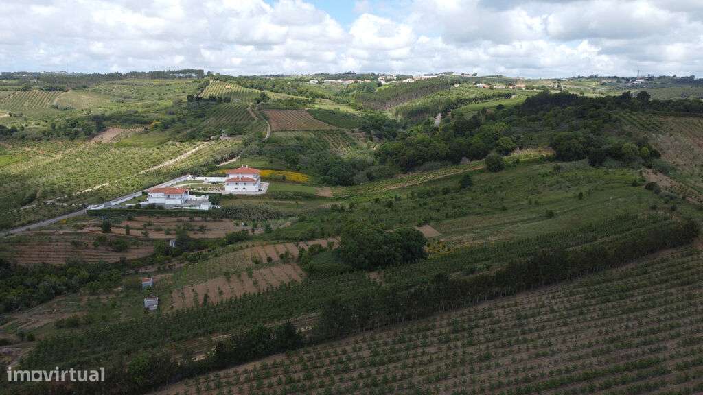 Venda Terreno - Grande imagem: 4/7