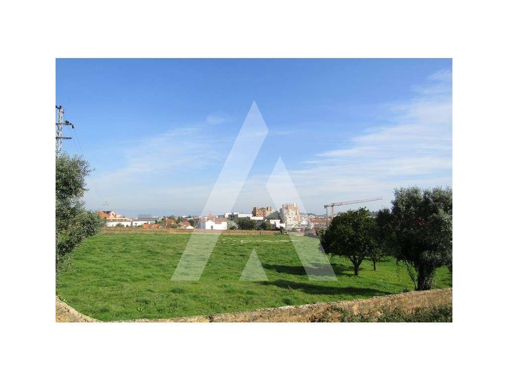 Terreno no centro de Albergaria-a-Velha - Grande imagem: 2/4