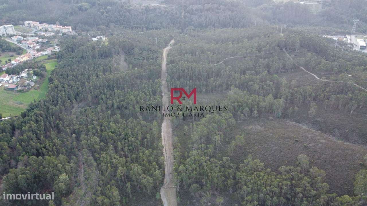 TERRENO RÚSTICO | VALONGO, ZONA "CABEDA"-6
