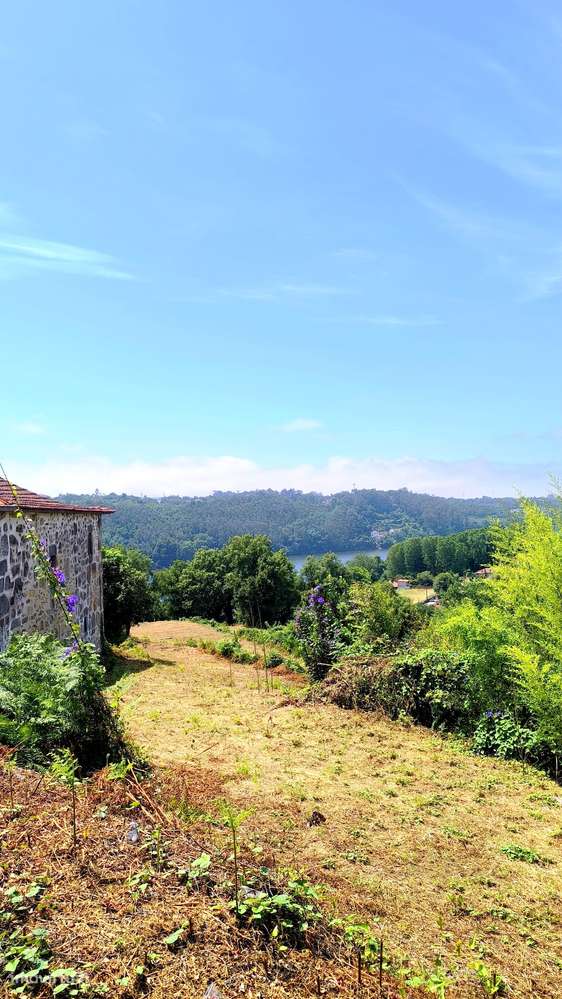 Quinta com 19000 m2 nas margens do Douro-11
