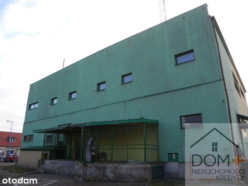 Lokal użytkowy, 1 595,50 m², Prochowice-4