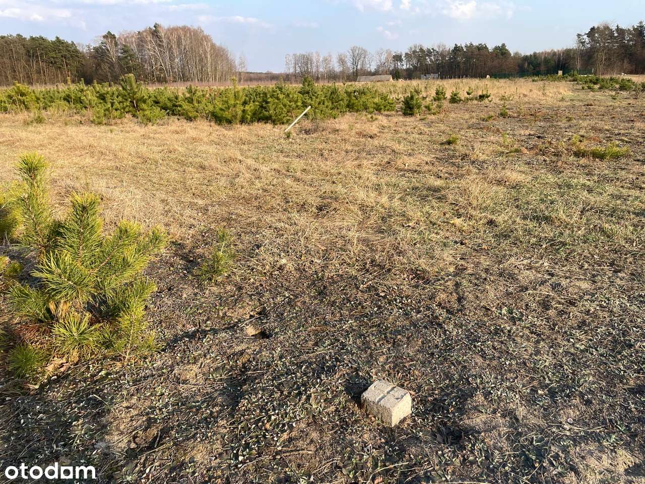 Atrakcyjne Działki Budowlane w Ossie 1000 M² - Pełny obrazek: 5/19