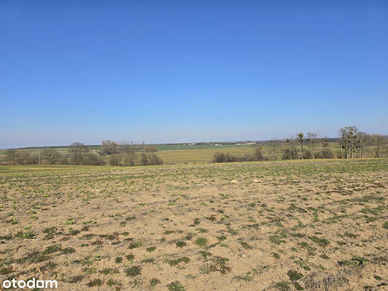 3 z 7 działek budowlanych w Lubiatówku-10