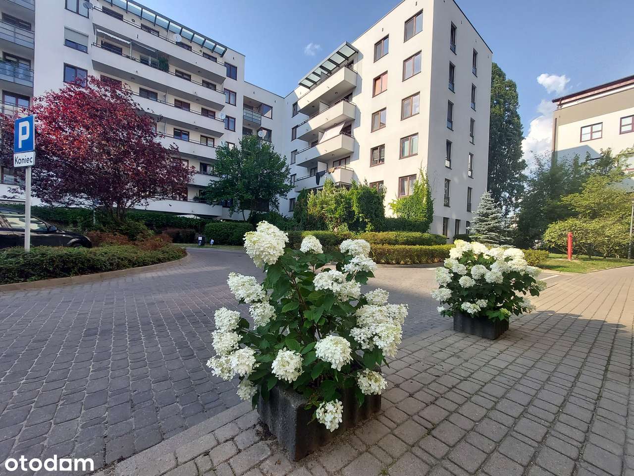 BEZPOŚREDNIO, 2 pokoje, Dolny Mokotów, blisko Łazienek - Pełny obrazek: 1/9