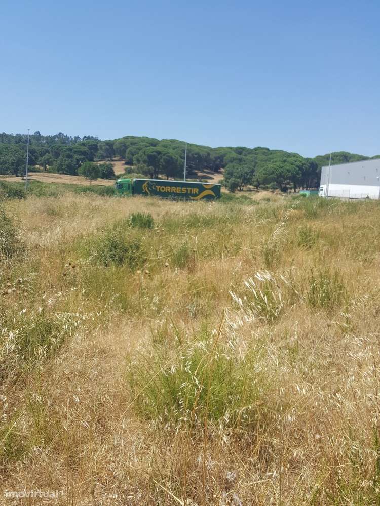 Terreno industrial para venda em Vila Nova da Rainha - Grande imagem: 3/8
