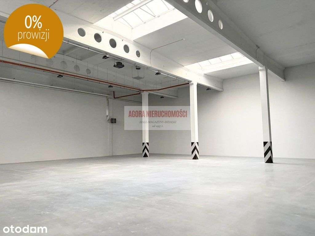 Rybitwy Hala Prod. Magazyn 1200 m2 + biura, - Pełny obrazek: 4/10