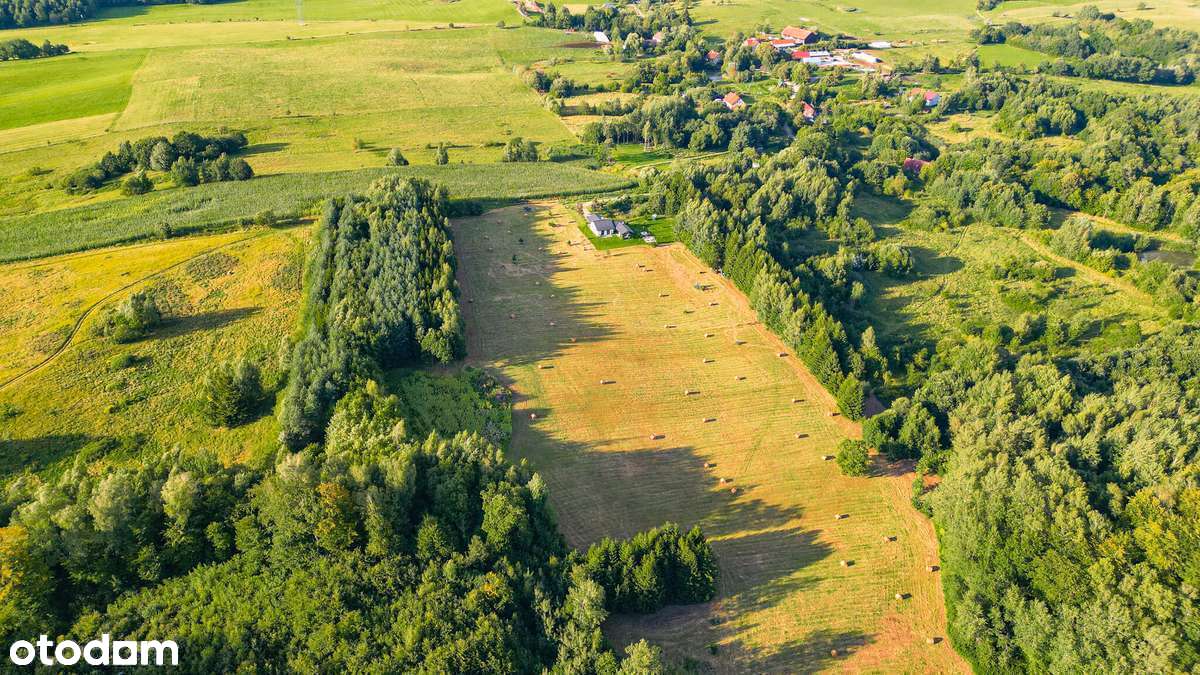 Działki budowlane Rogowo blisko Elbląga. - Pełny obrazek: 4/17