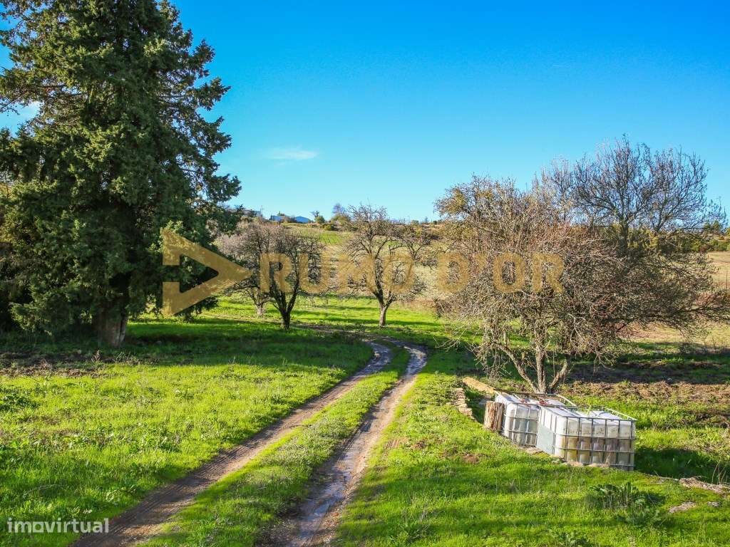 Quinta para Venda com Grande Potencial em Castanheira do Ribatejo-1