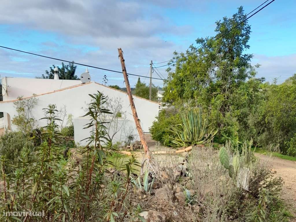 Terreno com ruína, Santa Catarina da Fonte do Bispo, Tavira, Algarve - Grande imagem: 5/11