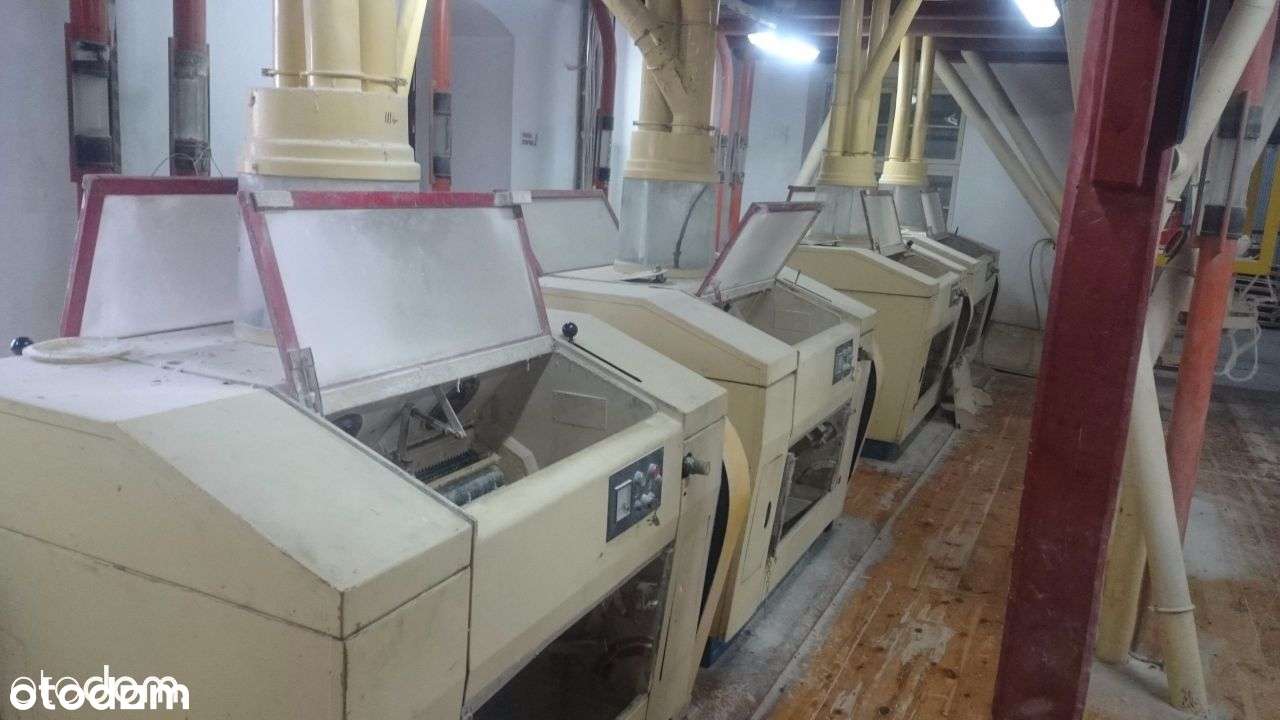 PRZEWORNO: młyn zbożowy - Pełny obrazek: 4/11