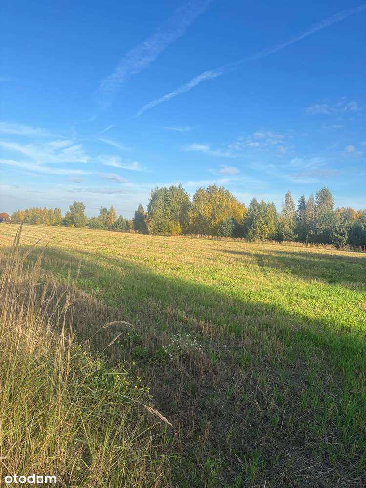 Działka budowlana Wyględy gm. Leszno-5