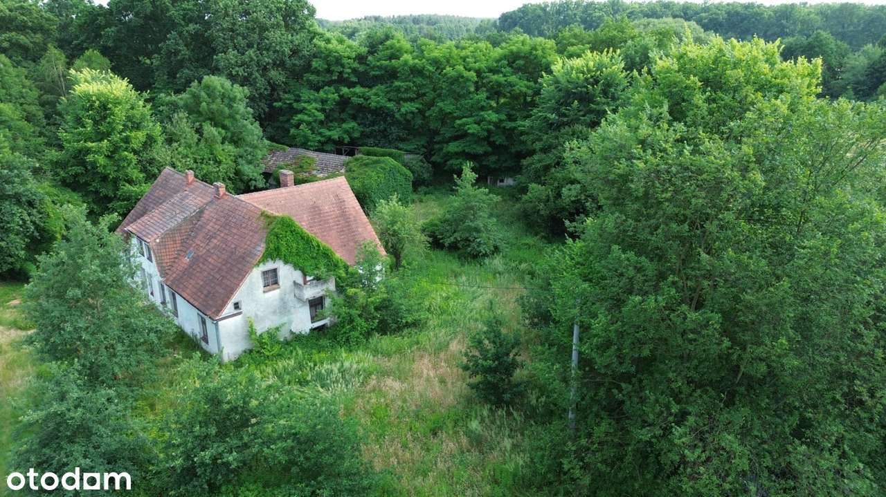 Wyjątkowa posiadłość w sercu lasu | Henrykowice k. Milicza | Dom 280 m-1