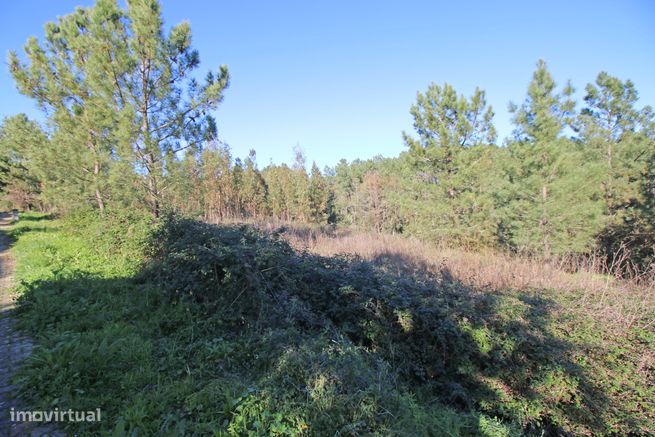 Lote de Terreno na Urbanização de Santa Luzia em Abrantes-10