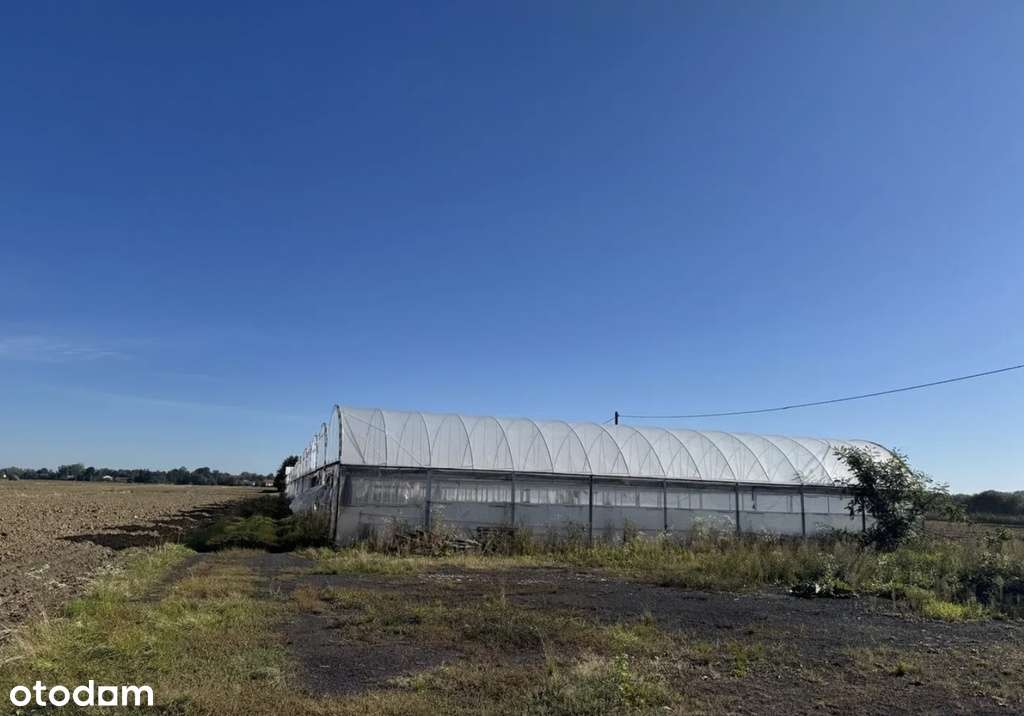 Kompleks gospodarczo–magazynowy w Słupcu - Pełny obrazek: 2/3