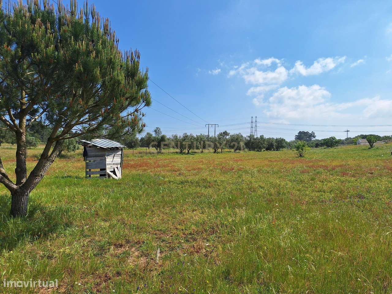 Terreno Rústico em Setúbal - Oportunidade Única por 82.900€ - Grande imagem: 4/5