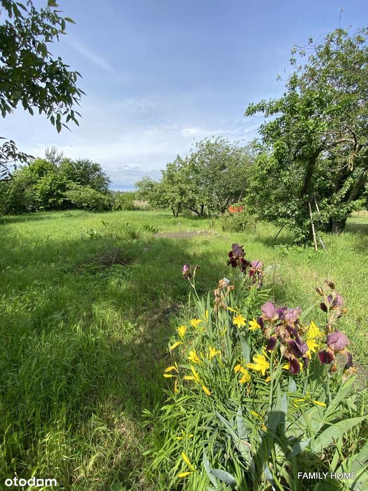 DOM wolnost-DO REMONTU, dz.900m2, Gniezno-Jankówko-8