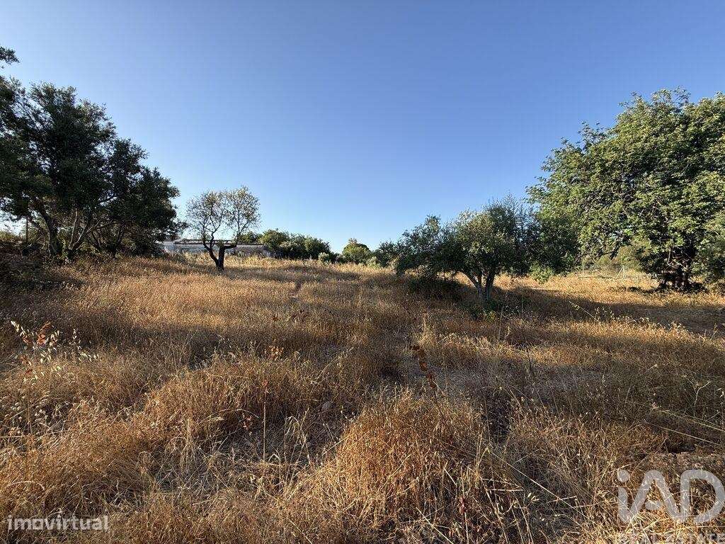 Terreno para construção em Santa Bárbara de Nexe de 3280,00 m2 - Grande imagem: 1/24