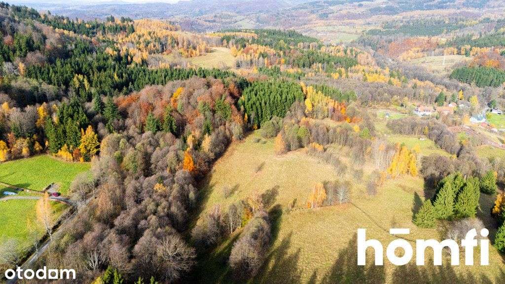 Działki rekreacyjne w otulinie:lasu, ciszy,spokoju - Pełny obrazek: 4/17