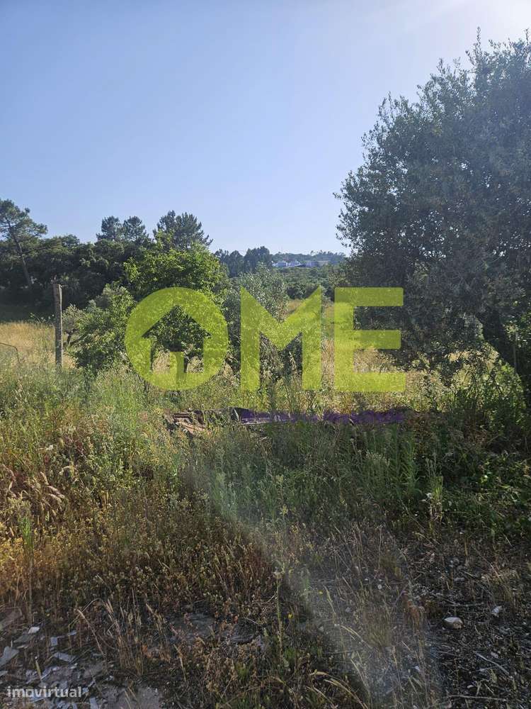 Barracão com terreno - Grande imagem: 3/10