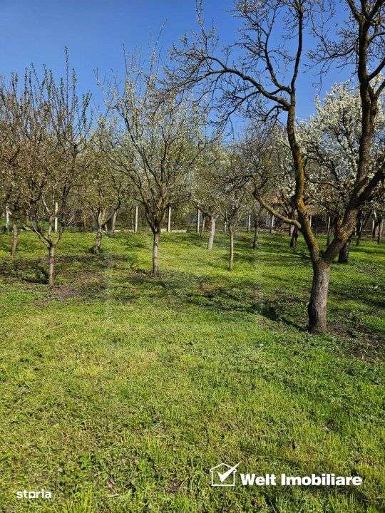 Casa de vanzare, teren 1700 mp, Ceanu Mic, judetul Cluj - Imagine principală: 2/19