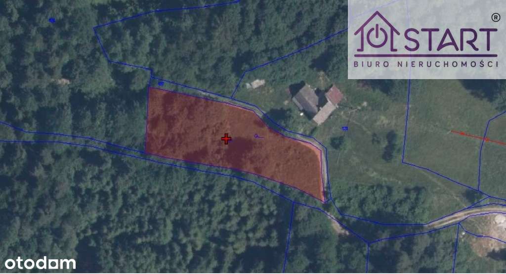 Działka budowlana pod lasem- Rabka-5