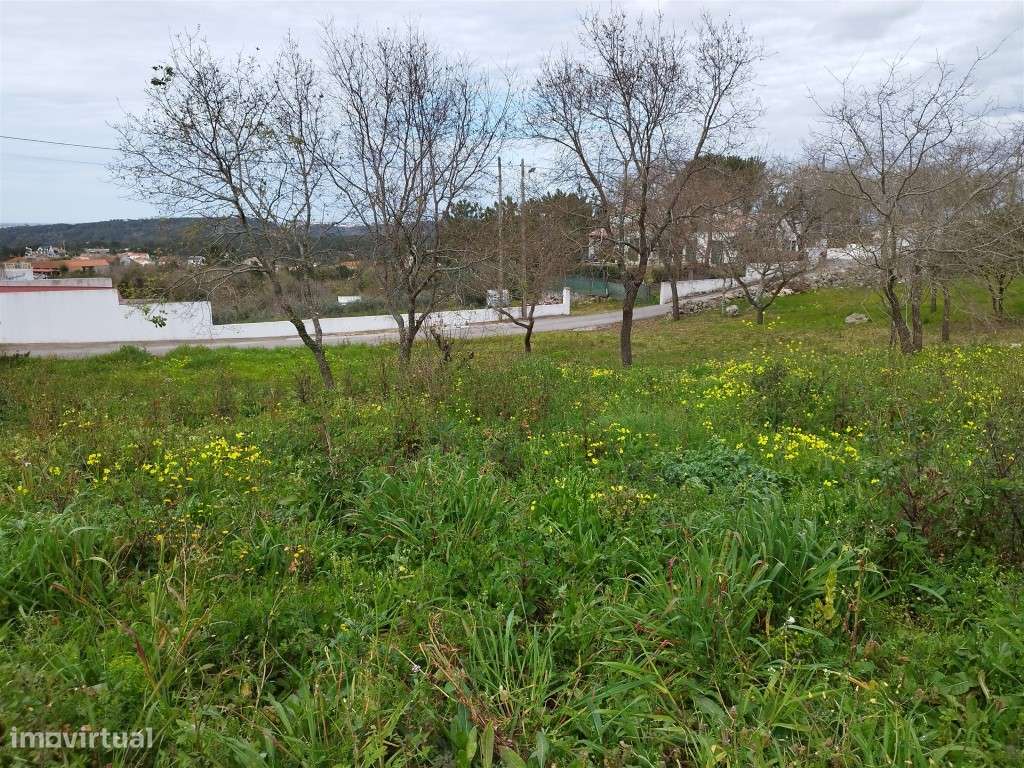 Terreno Urbano Venda Leiria-7