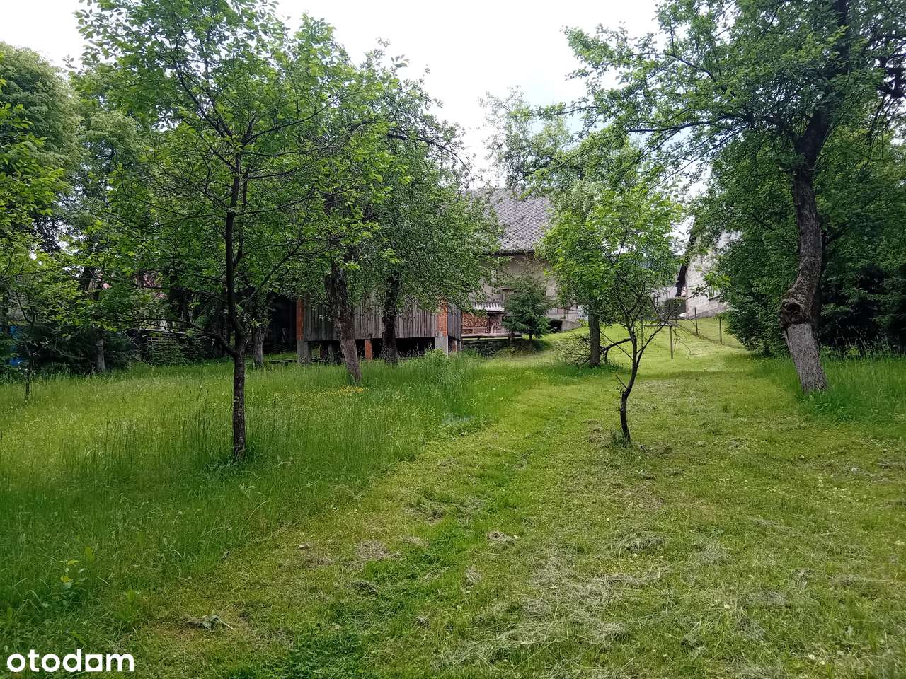 Wolnostojący dom z garażem w pięknej okolicy-3