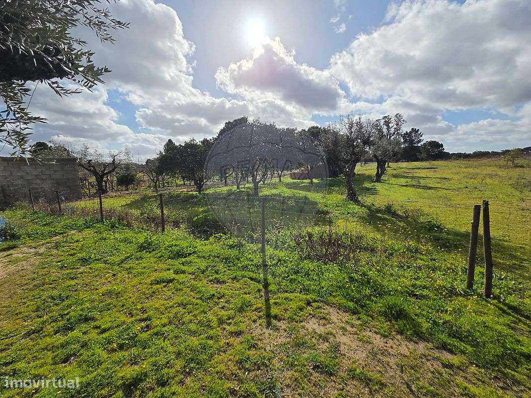 Moradia T1 para venda - Grande imagem: 5/29