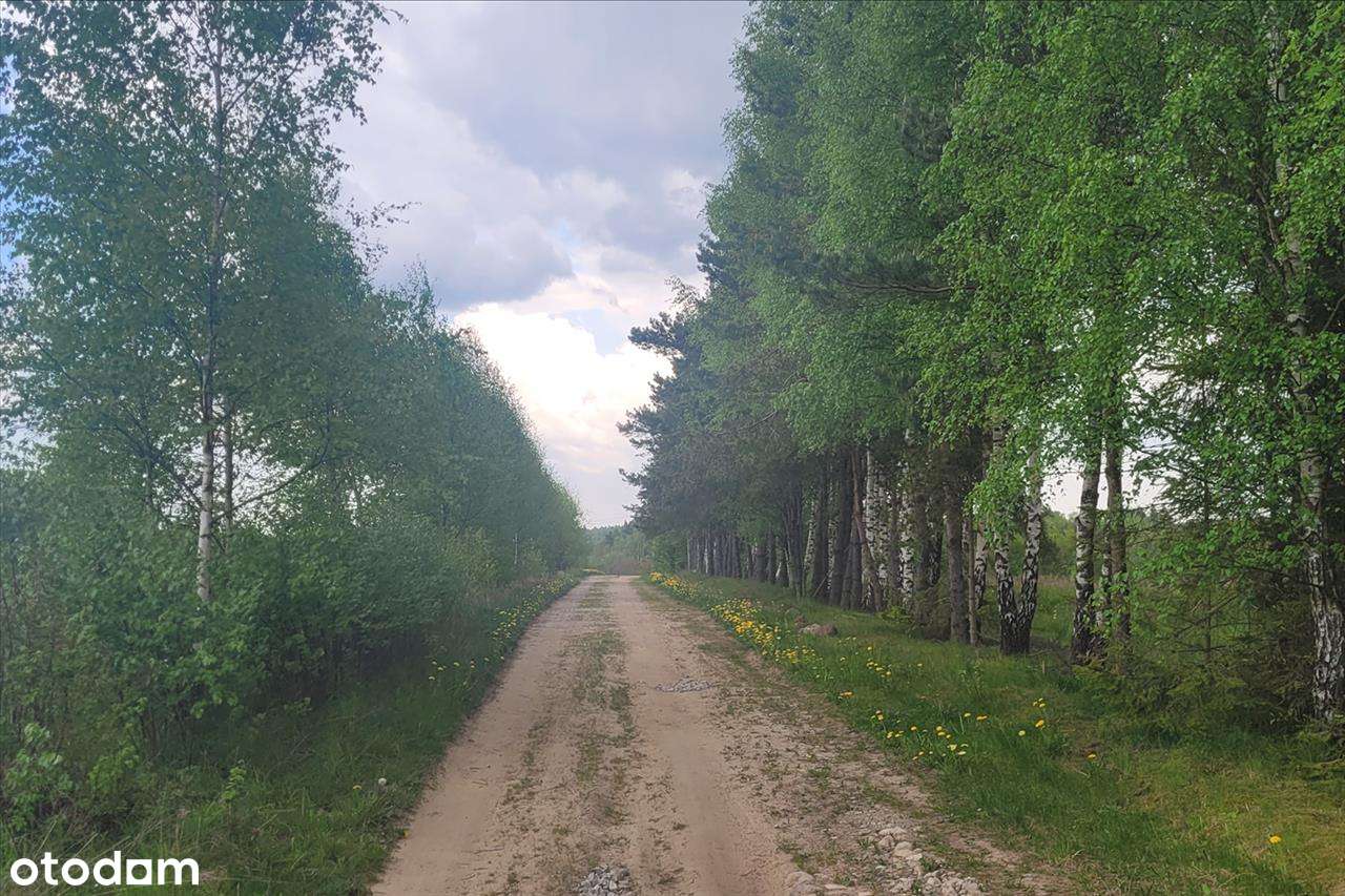 Kaszubska oaza ciszy i spokoju – duża działka z WZ, 45 min od  Gdańska-5