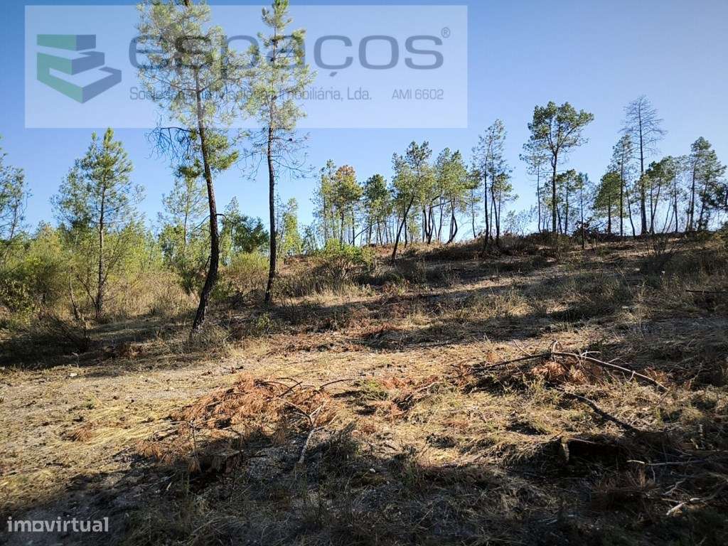 Terreno com bons acessos - S. Domingos - Grande imagem: 2/9