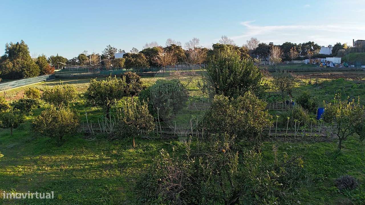 Terreno  para venda-12