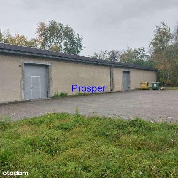 Produkcja bramy zero - Pełny obrazek: 4/4