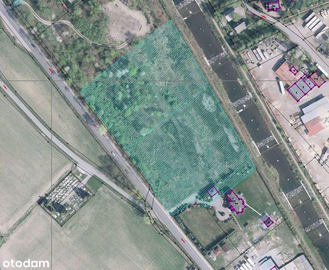 działka - hotel, sklep wielkopowierzchniowy - Pełny obrazek: 2/7