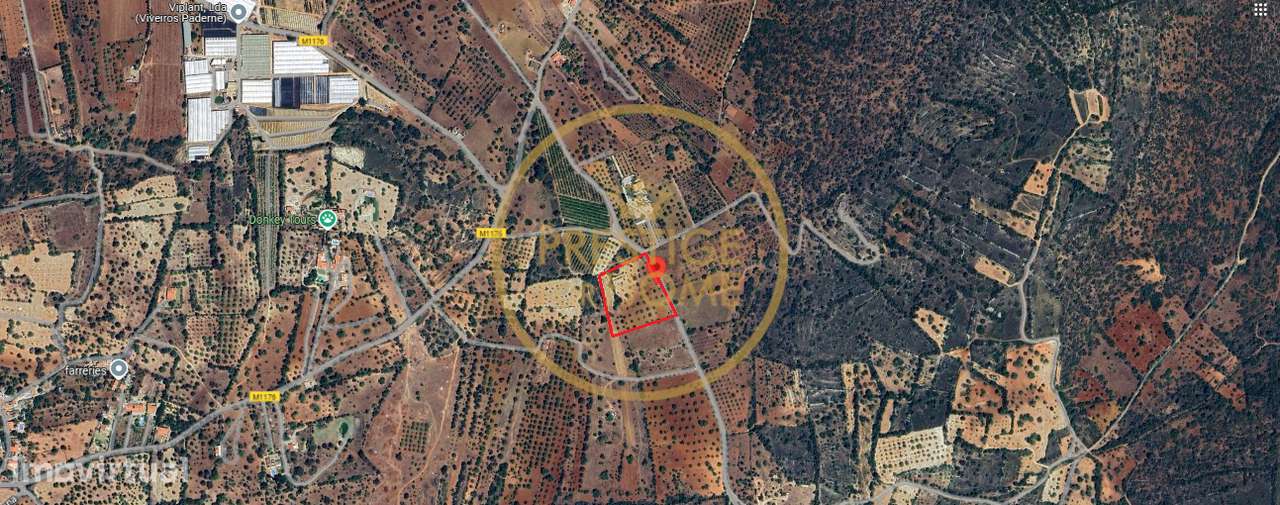 Terreno, 9 280 m², Paderne - Grande imagem: 2/14