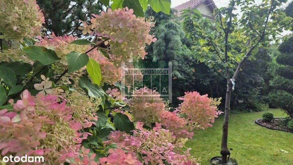 Uroczy dom na przedmieściach.-12