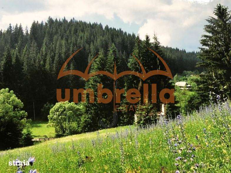 TEREN DE VANZARE 34.201m²20€ m² IN VARSAG HARGHITA - Imagine principală: 2/20