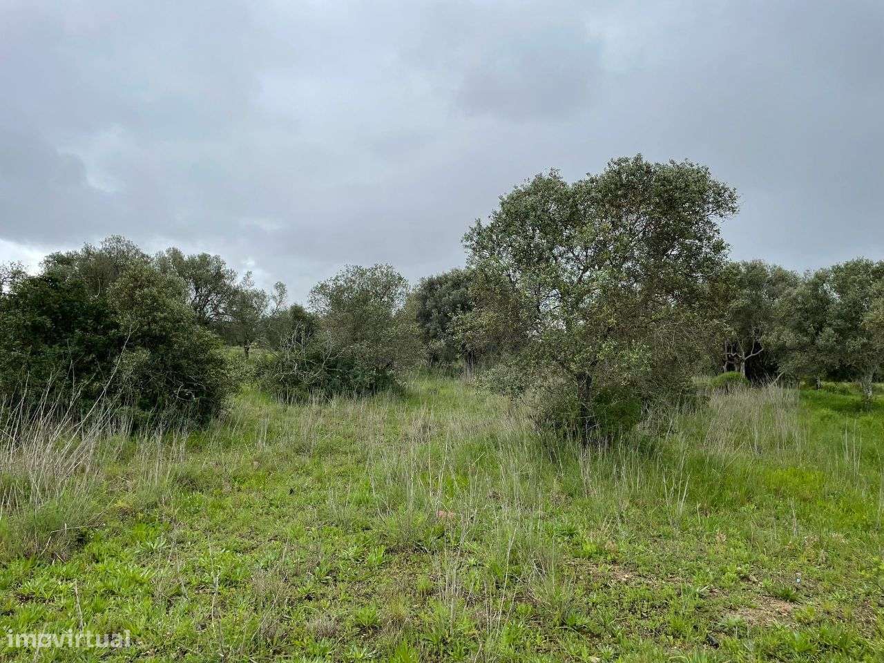 Terreno Rustico em torre Apra- Loule-7