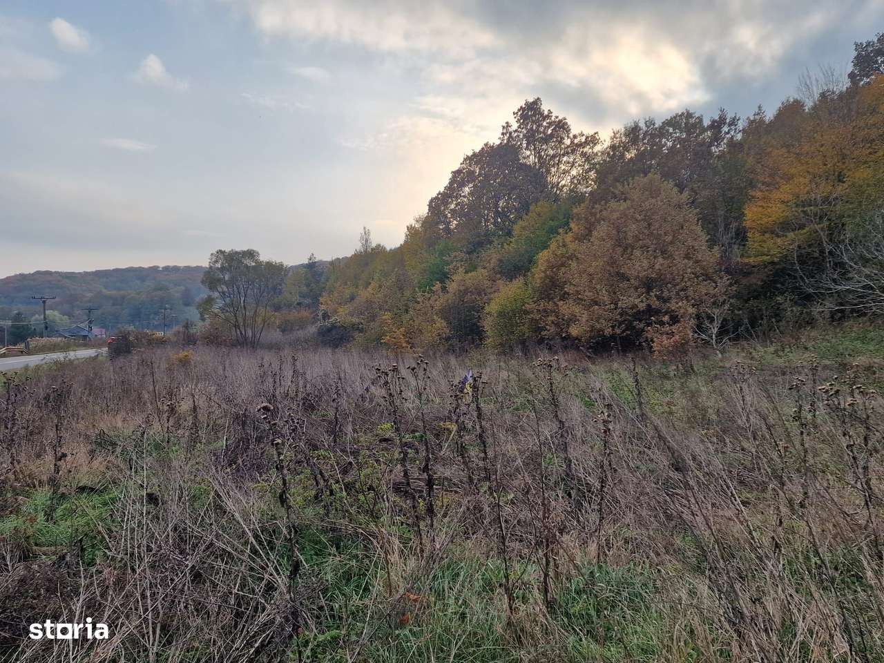 Teren 1,717mp Margineni / Strada Sat podis-5