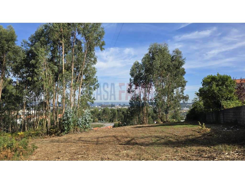 Oportunidade de Investimento: Projeto em curso para 36 Apartamentos... - Grande imagem: 2/24