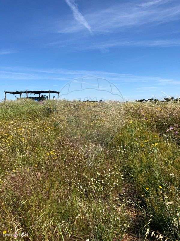 Quinta T6 para venda-15