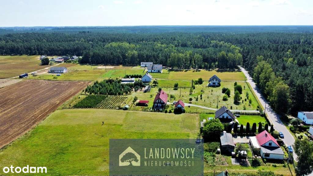 Działka w Osowie Leśnym-Twój azyl ciszy wśród lasu - Pełny obrazek: 4/20