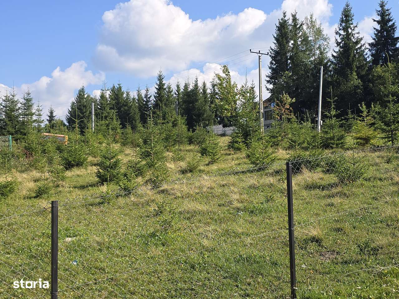 Teren, 3 750 m²,  - Imagine principală: 2/2