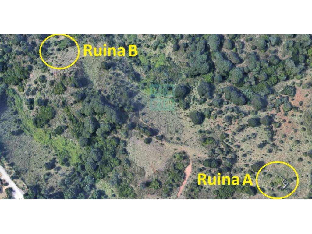 Quinta com 435.487 m2 na Serra da Arrábida, em Palmela, Setúbal-50