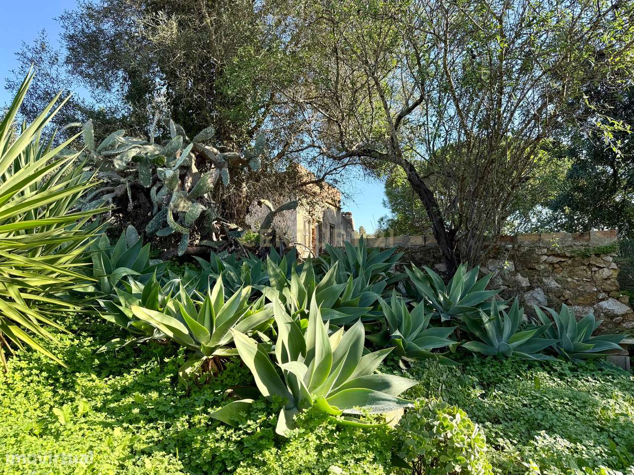 O seu refúgio de sonho no coração do Algarve, a poucos minutos da Prai-44