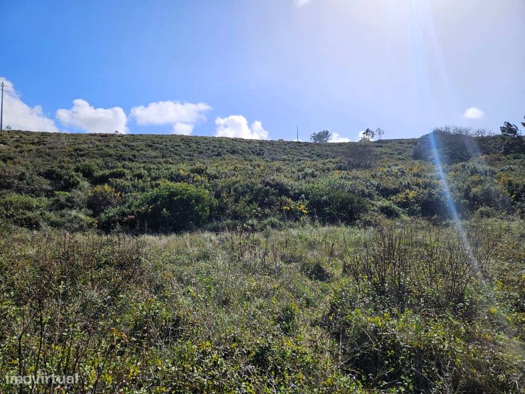 Terreno com vista mar e projetos aprovados para moradia - Grande imagem: 4/14