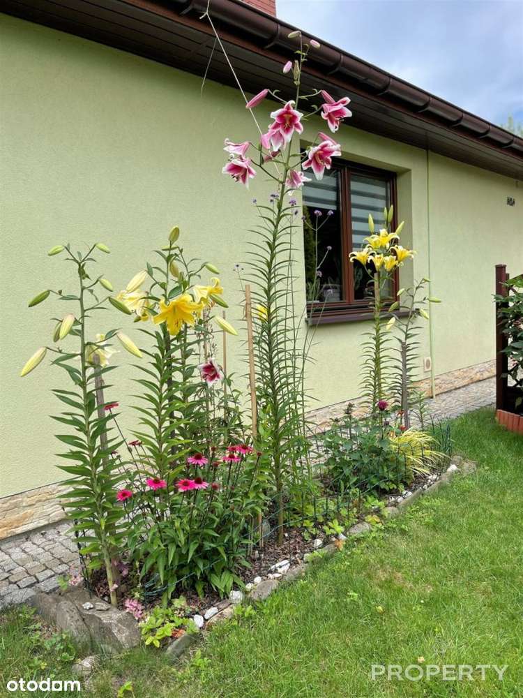 Nowy Sącz Dom 124m2 ul.Nawojowska działka 749 m²-5