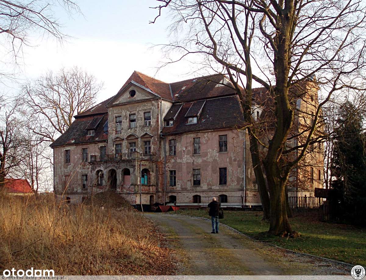 ZABYTKOWY PAŁAC W RYCHNOWIE – WYJĄTKOWA INWESTYCJA-6