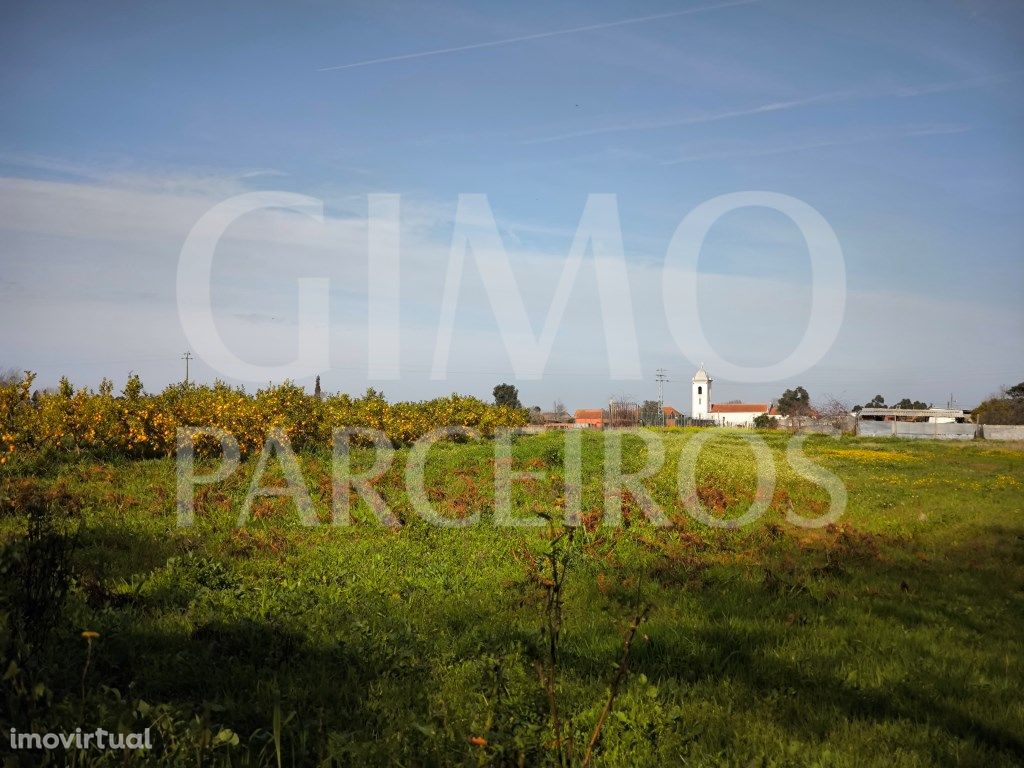 Terreno rustico para venda na Palhaça