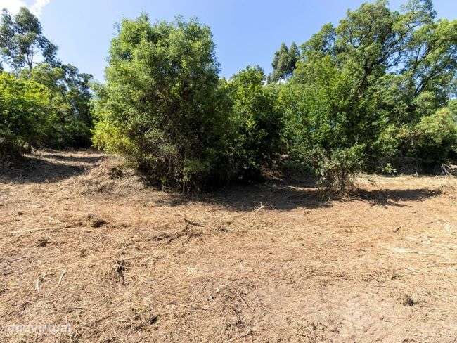 Terrenos - Vila Verde-5