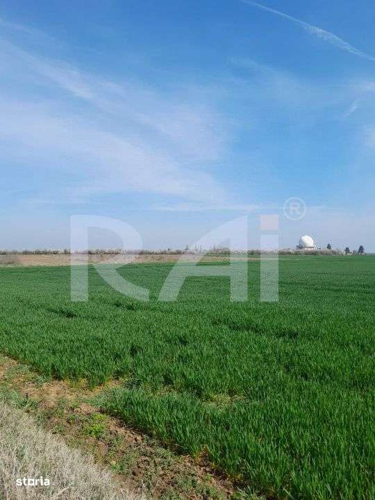 Oferta momentului! Terenuri intravilane Craiova – 11 €/mp - Imagine principală: 3/8